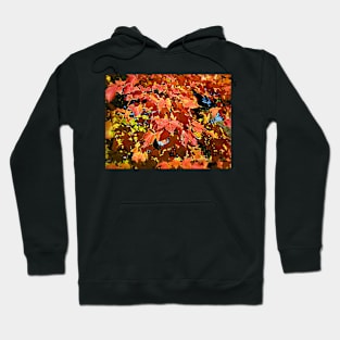 Maple leaves Hoodie